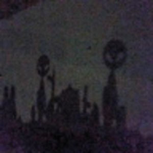 Meet your Posher, Shawn